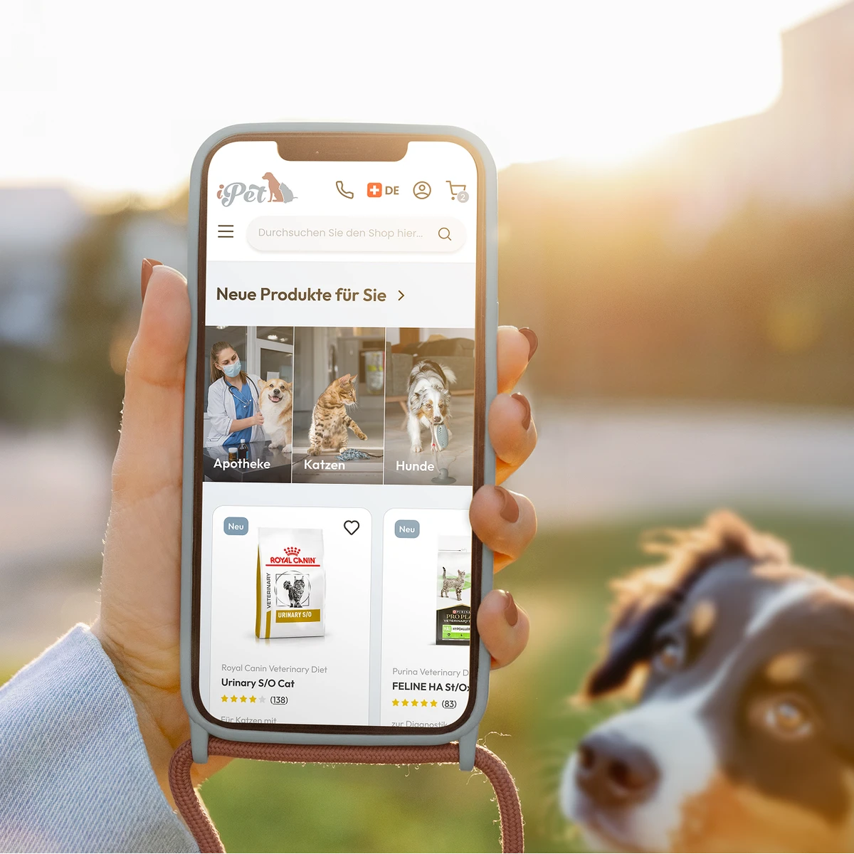iPet e-commerce website preview on a smartphone showcasing new pet products, including Royal Canin and Purina veterinary diets, set against a lifestyle background of a dog outdoors
