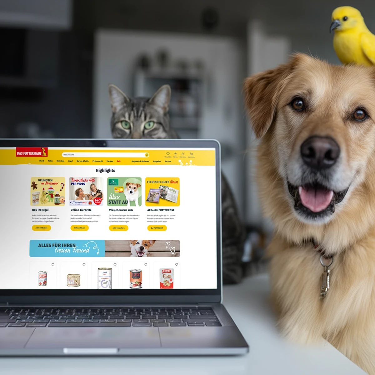 Das Futterhaus e-commerce website preview on a laptop showcasing "Highlights" like new arrivals, online vet services, and pet insurance, set against a lifestyle background featuring a dog, a cat, and a bird