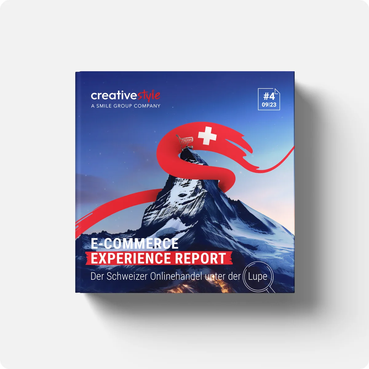 The swiss online retailers under the microscope